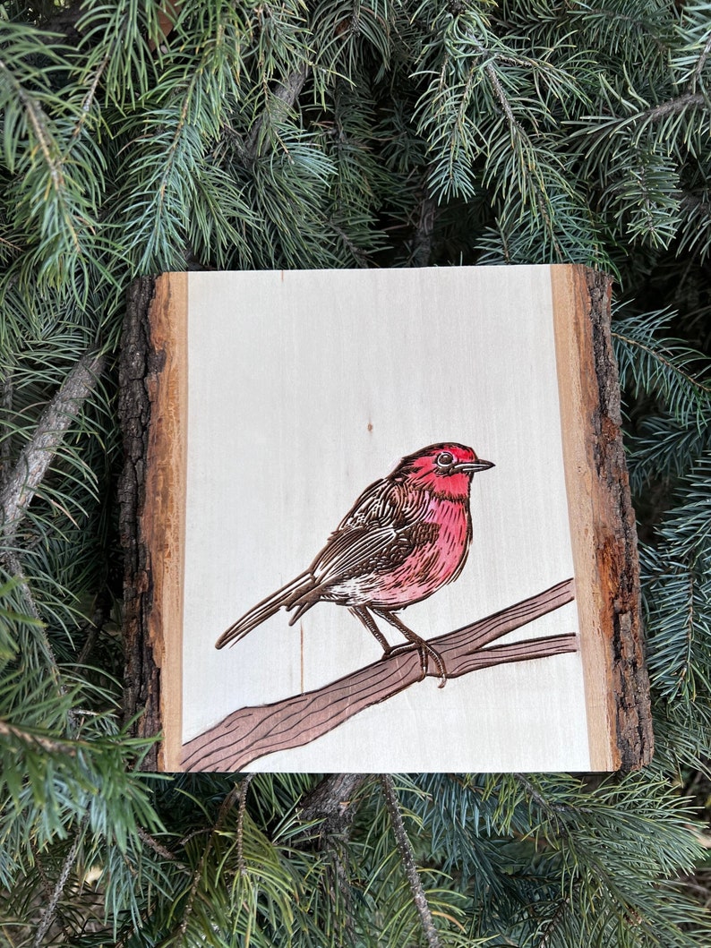 Bird art house finch wood slice bird lover art image 1