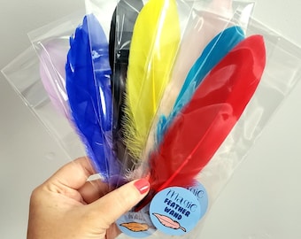 Feather Party Favors, Wand Favors, Kids Pretend Play