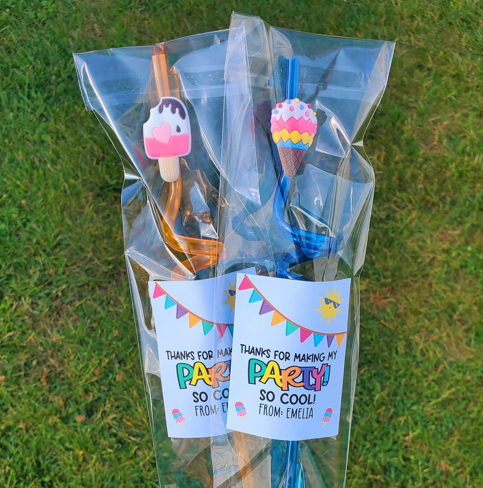 Summer Birthday Party Kids Pool Party Kids Party Favors Ice Etsy