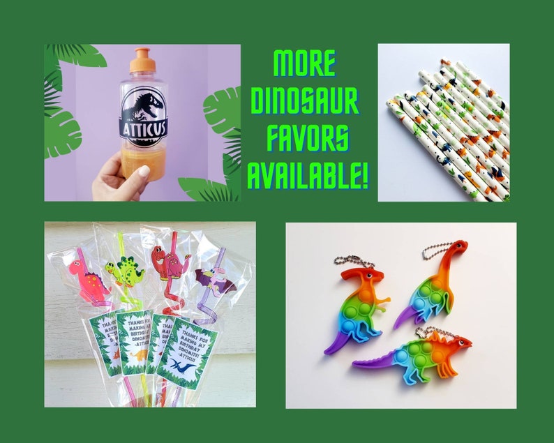 Dinosaur Party Favors Dinosaur Birthday Party Dinosaur Etsy