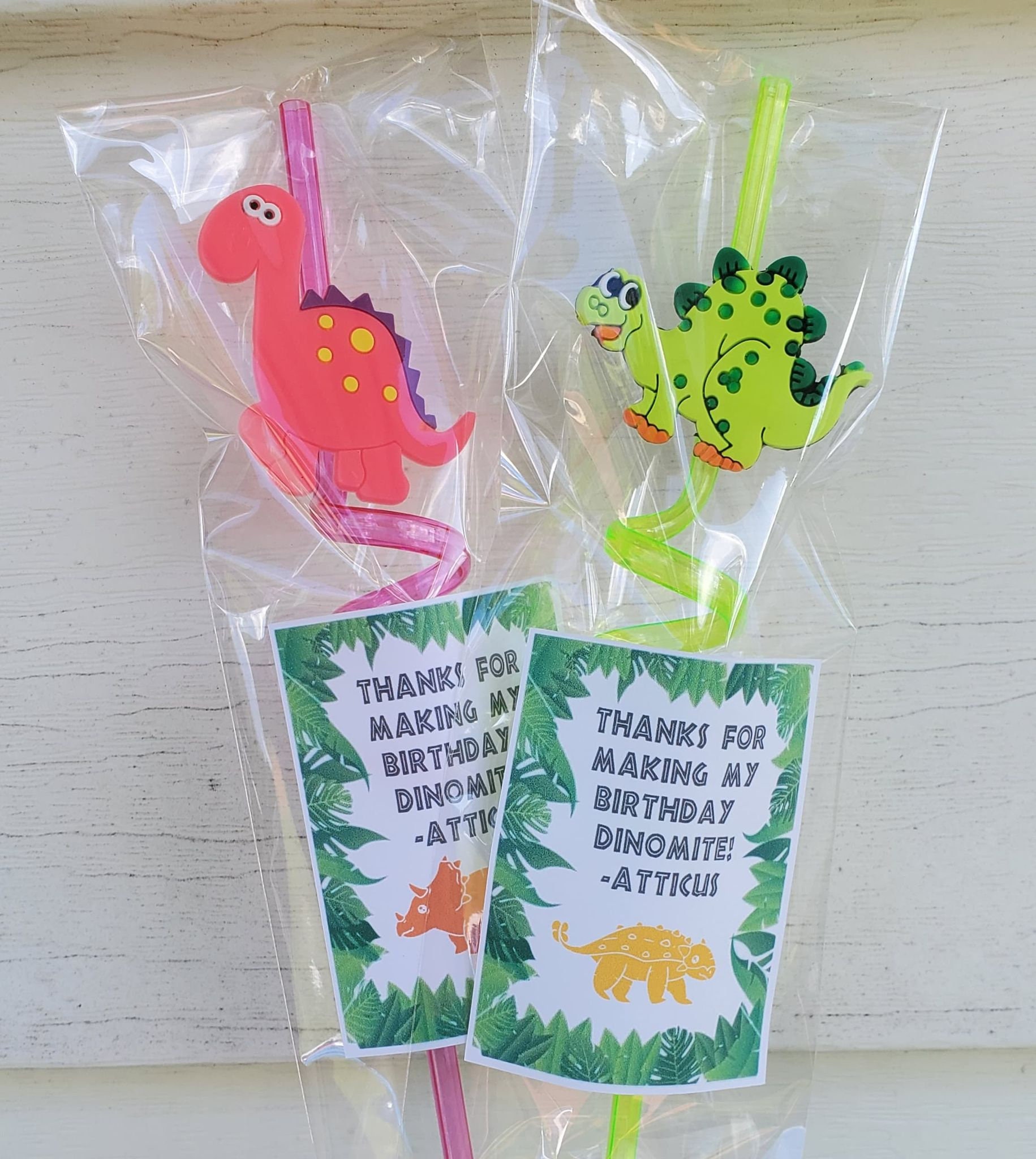 Dinosaur Party Favors Dinosaur Birthday Party Dinosaur - Etsy