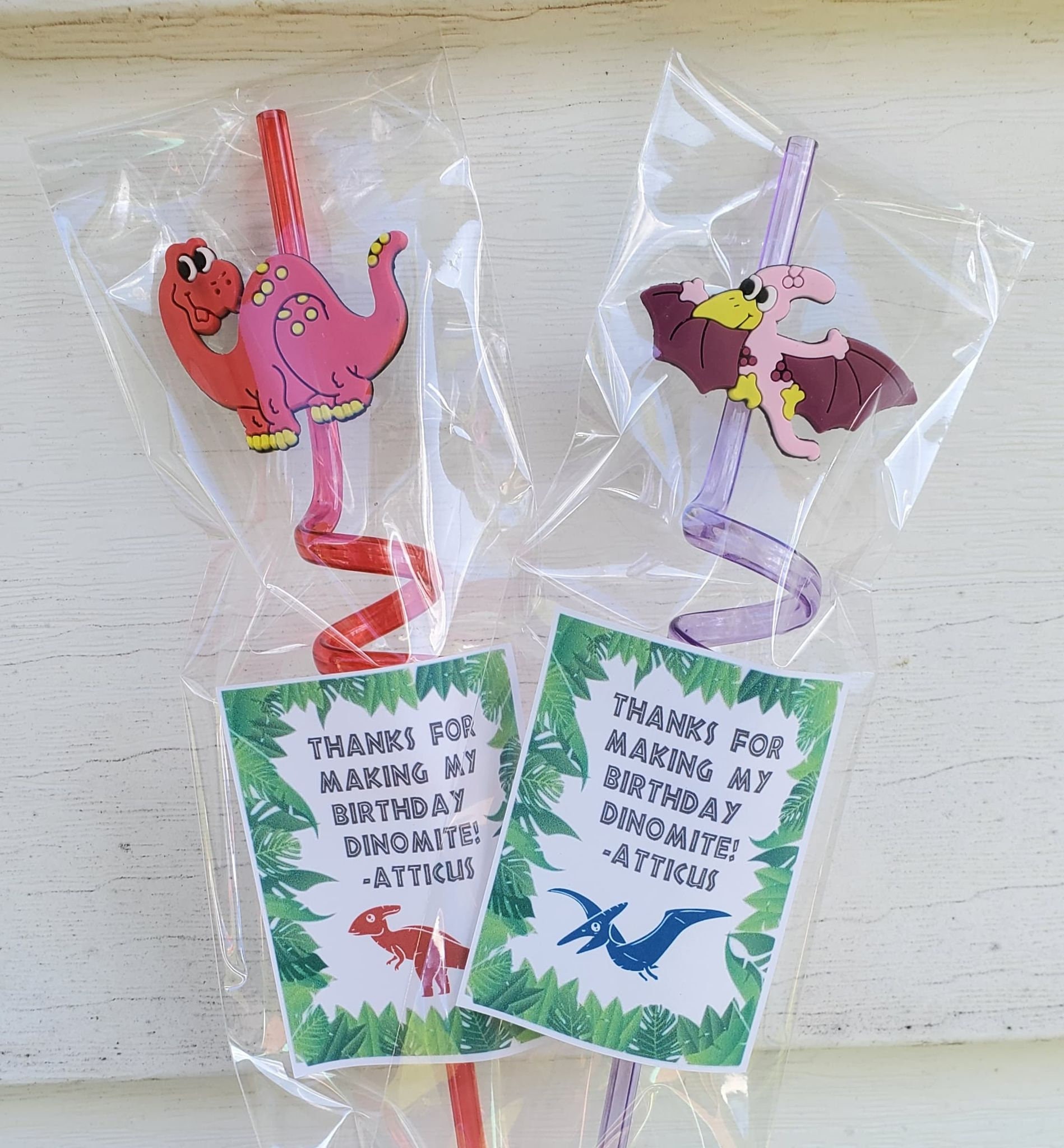 DIY dinosaur party favors! Love that these not only served as cute