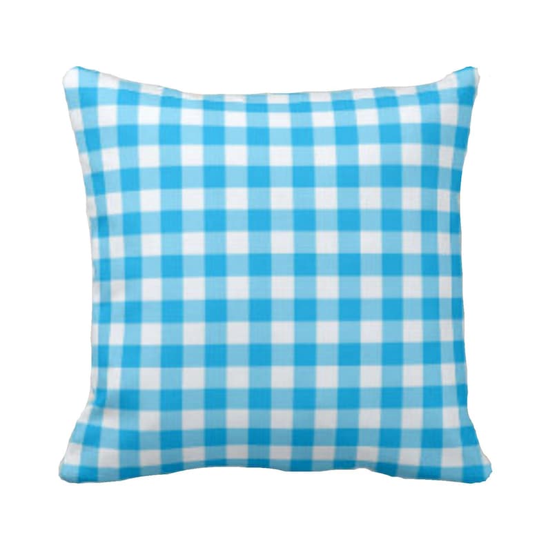 May include: A blue and white gingham pillow cover. The pillow cover has a checkered pattern.