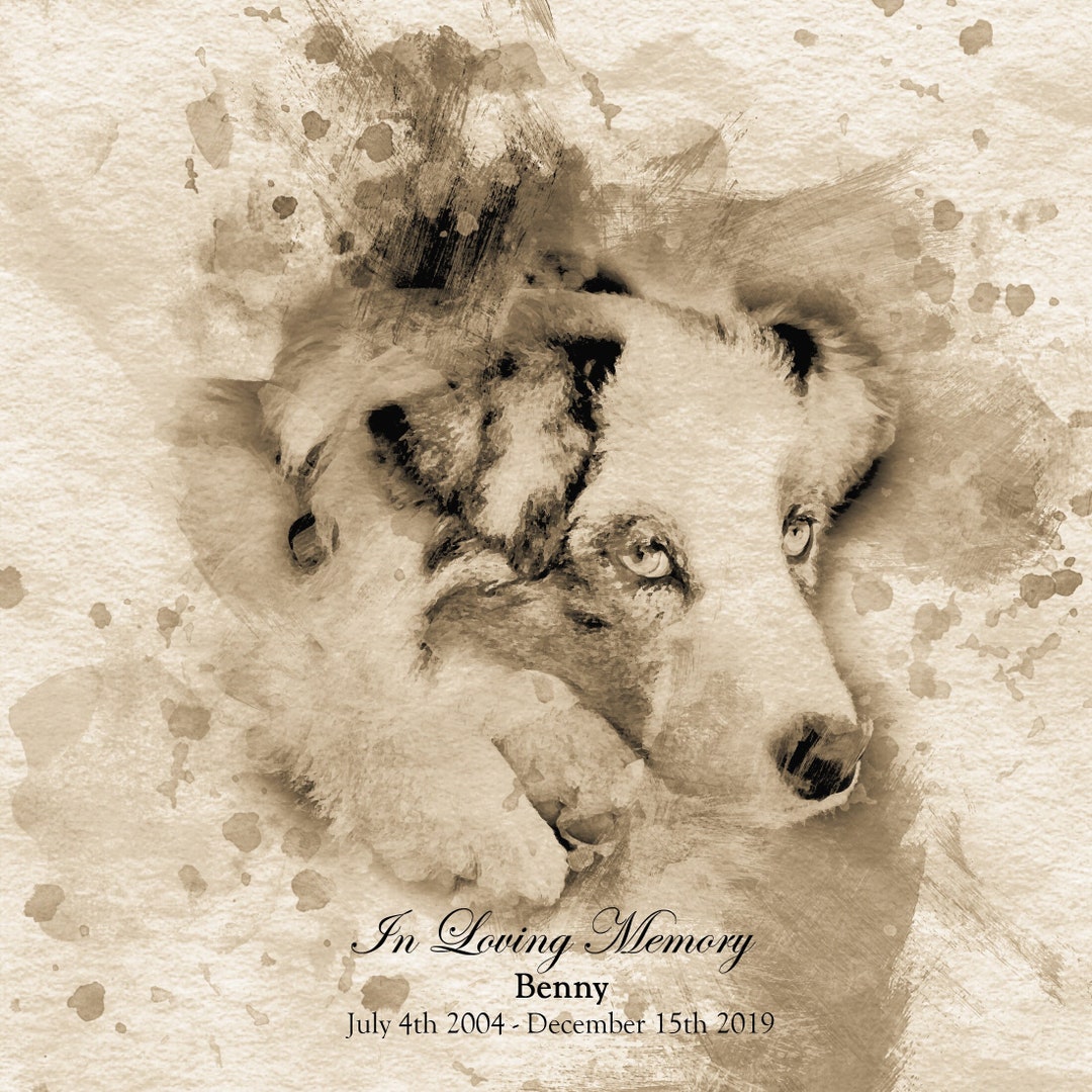 In Loving Memory Pet Portrait, Vintage Pet Portrait, Pet Loss, Pet