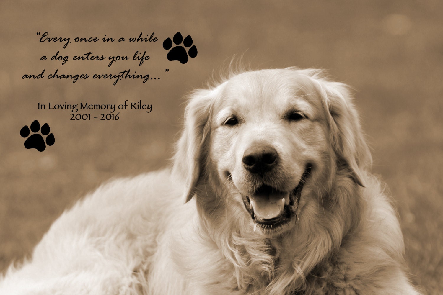 Custom Dog Portrait Pet Remembrance in Loving Memory Custom | Etsy