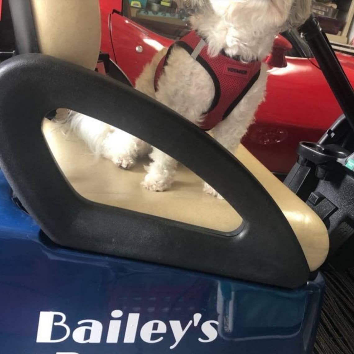 Custom Golf Cart Name Decal Golf Cart DecorName Decal Etsy