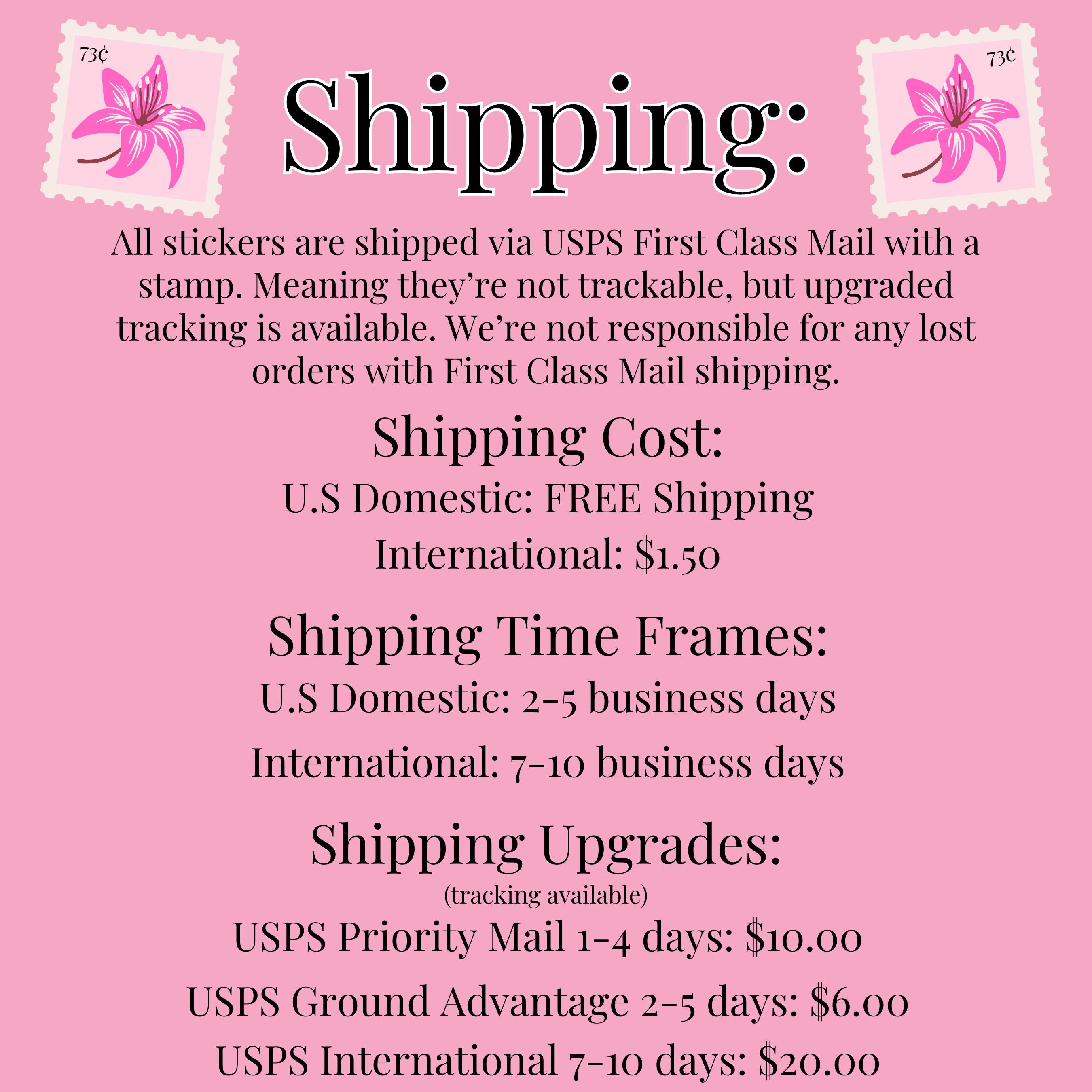 Princess Diaries Vinyl Sticker - 5 Inch Waterproof Decal For Car & Laptop