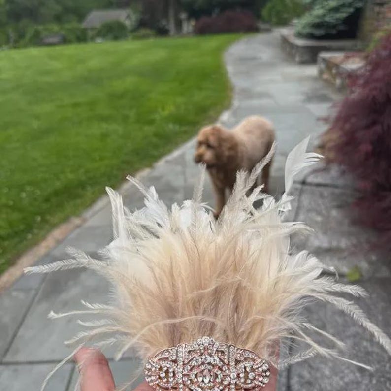 K&ouml;nnte beinhalten: Ein dekorativer Haarklip mit beigefarbenen Federn und einer glitzernden, verzierten, strassbesetzten Spange. Der Clip wird vor einem verschwommenen Hintergrund im Freien mit einem Hund gehalten.