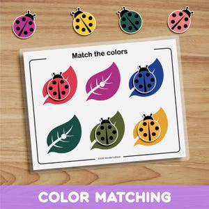 Ladybugs Color Matching, Busy Binder, Preschool Worksheet, Toddler Activity, Homeschool Curriculum, Educational Printable, Busy Book Page