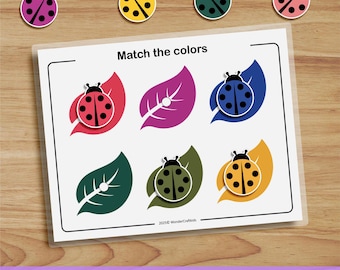 Ladybug Color Matching Activity, Preschool Printable (PDF)