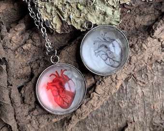 Heart dome necklace - medical illustration - resin jewelry - unique gift