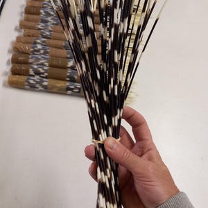 Porcupine Quills Long 30cm+ Authentic from South Africa