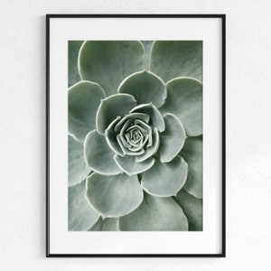 Blumen Kaktus Poster, botanisches Poster, grüne Sukkulente, druckbare Kunst, Wandkunst, grüne Kakteen, digitaler Download, grüne Wandkunst, Wüste