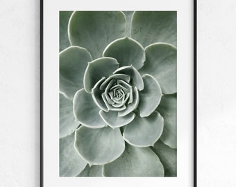 Flower Cactus Poster, Botanical Poster, Green Succulent, Printable Art, Wall Art, Green Cacti, Digital Download, Green Wall Art, Desert