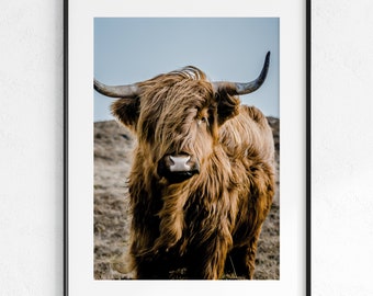 Highland Cow Poster, Printable Art, Wall Print, Wall Art, Wall Decor, Modern Home Decor, Digital Download, Pink Wall Art, Wild, Animal