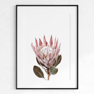 Protea Flowers Poster, Minimal Flower Art, Pink Wall Art, Wall Decor, Beautiful Flower, Tropical Art, Digital Download, Printable Wall Art