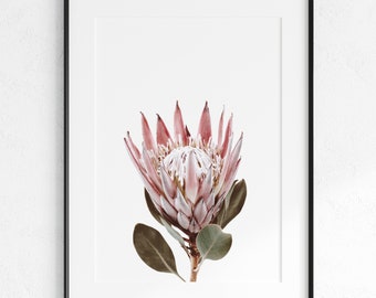 Protea Flowers Poster, Minimal Flower Art, Pink Wall Art, Wall Decor, Beautiful Flower, Tropical Art, Digital Download, Printable Wall Art