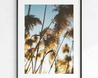 Reed Grass Poster, Printable Art, Wall Print, Wall Art, Wall Decor, Boho Home Decor, Digital Download, Earth Tone Wall Art, Travel