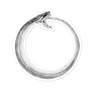 Ouroboros, filosofi, minimalistisk, indie, andlighet, klistermärken