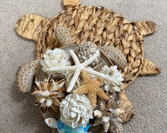 Shell ball set “Turtle Love”