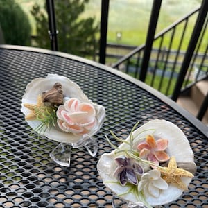 May include: Two decorative seashell displays. Each features a large, open seashell adorned with small flowers, starfish, and driftwood. The shells are mounted on clear acrylic stands, creating a coastal theme.