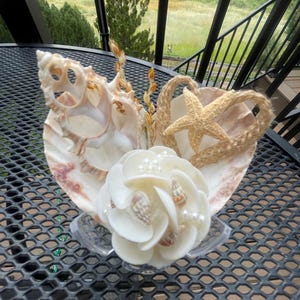 Heart scallop…neutrals
