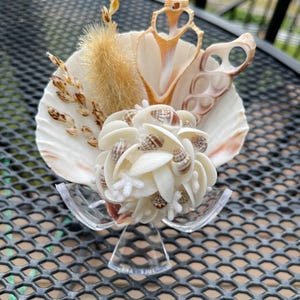 Scallop neutrals