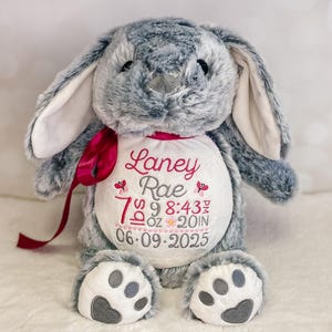 Personalized Stuffed Animal, Personalized Bunny, Birth Stat Animal, Embroidered Stuffed Animal, Birth Announcement, Embroidered Keepsake