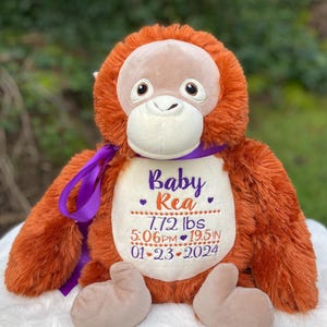 Personalized Stuffed Animal, Personalized Monkey, Birth Stat Animal, Embroidered Stuffed Animal, Birth Announcement, Embroidered Animal