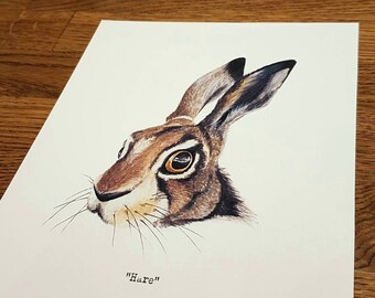 Hare - Wildlife portrait - A5 Fine Art Print - Limited Edition of 25