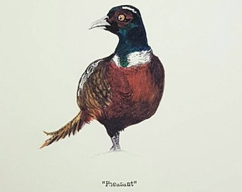 Pheasant - Wildlife portrait - A5 Fine Art Print - Limited Edition of 25