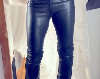 Sz 28 leather DDC Lab with Lycra pants.