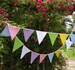 Wedding banting, banner, flags, garlands, Multi coloured banting, Outdoor bunting, Garden party bunting, Wedding decoration, Long bunting 