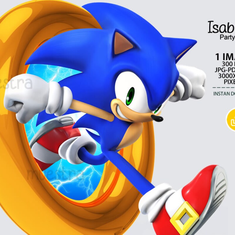 Sonic Rings Bounce Sonic Ring Png - Etsy