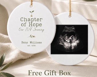 Ivf Journey Ornament Personalized Baby Announcement Keepsake Ceramic Hope Memorial Nursery Decor Rainbow Milestone Gift Fertility Warrior