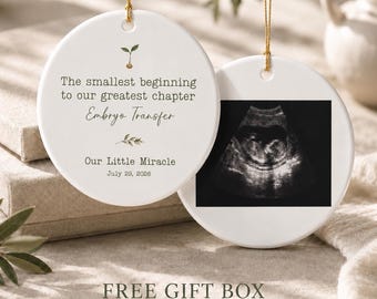 Embryo Transfer Ornament Ceramic Christmas Baby Announcement Fertility Gift Infertility Hope Ivf Keepsake Pregnancy Milestone Memorial Tree