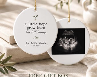 Ceramic Ornament Ivf Journey Hope Grew Here Keepsake Baby Announcement Fertility Gift Rainbow Pregnancy Memorial Nursery Tree Hanging