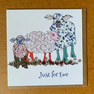 Schaf Grußkarte, Geburtstagskarte, lustige Karte mit Spruch 'Just for Ewe'. Illustrierte Karte gezeichnet von MollyMac, 13 cm quadratisch