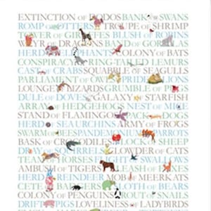Collective nouns of animals with small paintings of each animal, this is a design where the text is a crucial part of the design.