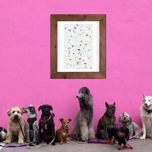 Collective nouns of animals with small paintings of each animal, this is a design where the text is a crucial part of the design.