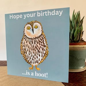 Eulen-Geburtstagskarte, lustige Grußkarte mit Spruch 'Hope your birthday is a hoot!' .