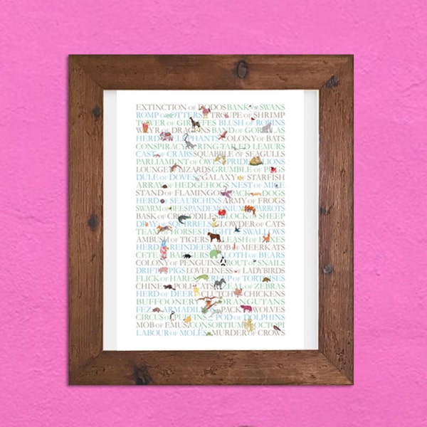 WALL ART PRINT Colorful digital print - Collective Animal Nouns from MollyMac