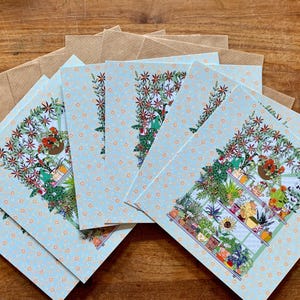 Juego de postales con plantas de interior: 6 tarjetas y sobres. Bonitas postales con el reverso en blanco para escribir tu mensaje.