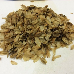 Hops Dried Flowers