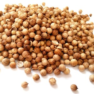Coriander Seeds