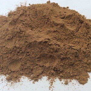 Cordyceps Mushroom Powder Organic
