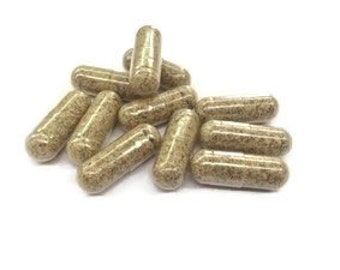 Milk Thistle Seed Capsules