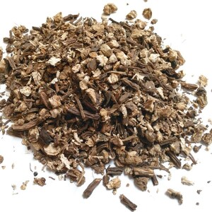 Angelica Root Cut