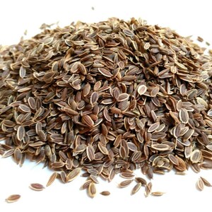 Dill Seeds