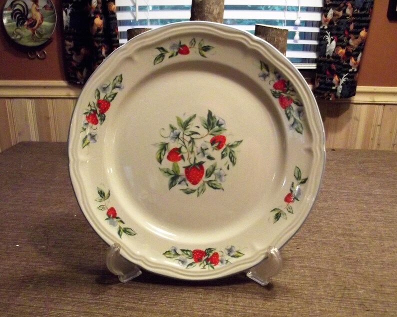 20 Piece Set Tabletops Unlimited *-* SUSANA *-* 4 Place Setting